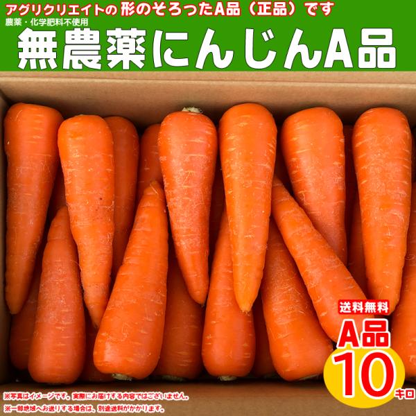 無農薬人参洗い10kg(A品)【送料無料】 :1062030:アグリクリエイト 通販 にんじん5kg 農薬不使用 化学肥料不使用人参 わけあり規格外品 にんじんジュースに ニンジン おすすめの産地の発送※ 無農薬にんじん 無農薬人参 の表記は ガイドラインにおいて 禁止されています