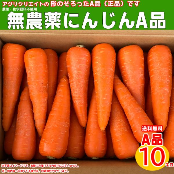 無農薬人参洗い10kg A品 :1062030:アグリクリエイト 通販 