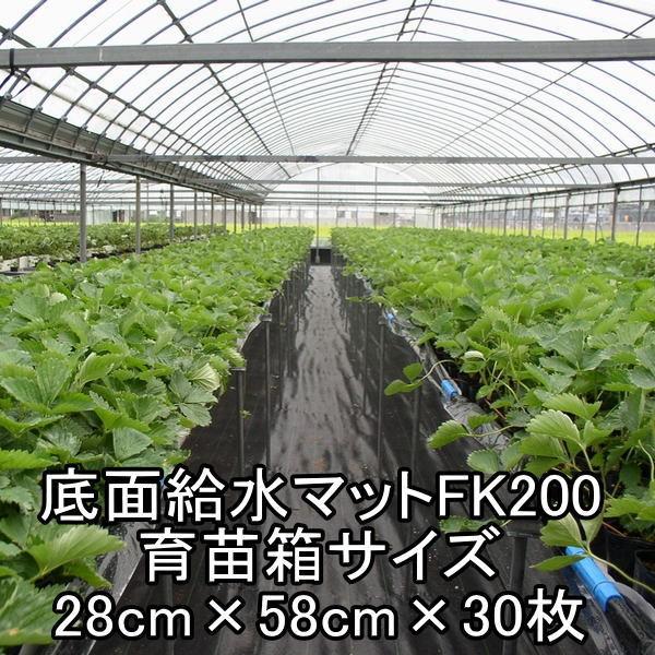 ファーマット　農業用資材　野菜、花の育苗に オリジナル資材 発芽・育苗マットカバー「まもるくん」を新発売