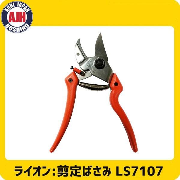 IWiCI Ar 7107 (MTCY)