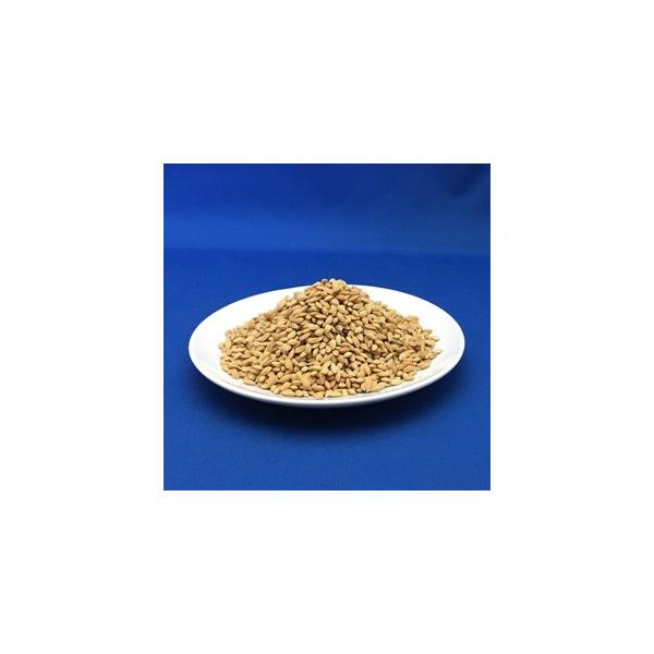 [Release date: January 23, 2026]令和７年産ポリ袋入り　内容量1Kg【栽培特性】（育成地基準） 熟期：早生 耐冷性：強 耐倒伏性：弱 穂いもち：弱 葉いもち：弱※種子消毒はしておりません。