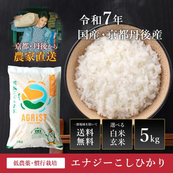 令和7年産 コシヒカリ10kg 丹後の米 減農薬 丹後のお米 コシヒカリ