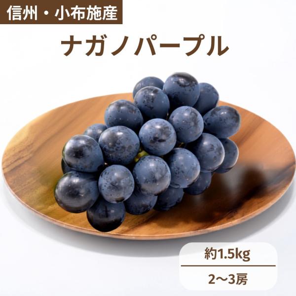 【長野県産】ナガノパープル 約1.5kg（2〜3房） 産地直送 皮ごとパリッ！種なしで甘い ギフトにおすすめ｜AgriUnion（アグリユニオン）