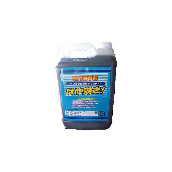 agriz-ys_560101055016