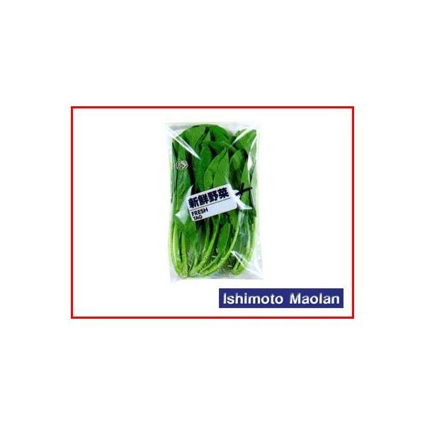 東洋紡 FG ボードン フレッシュタグ 新鮮野菜 ＃20 200×340 6000枚入×3