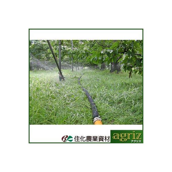 潅水チューブ スミサンスイ 住化農業資材 R横とび 100m巻 主に「果樹園