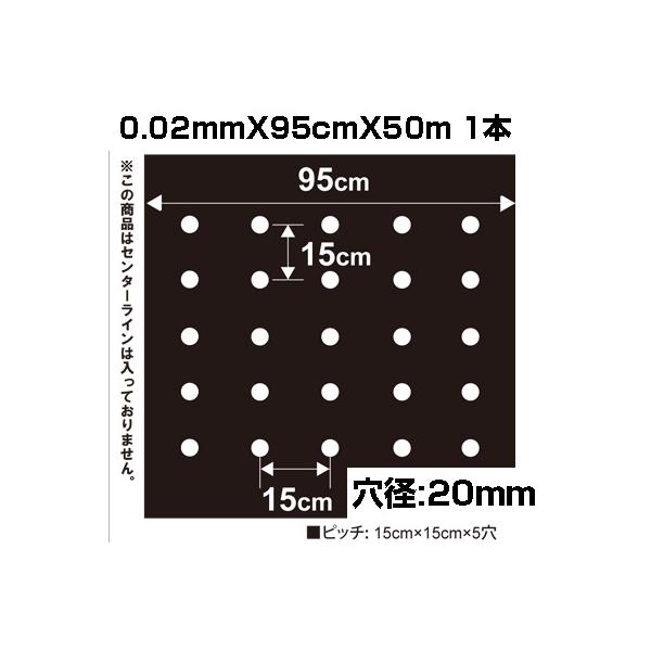 個人宅OK シンセイ ホールマルチ 黒マルチ 9515-2 0.02mm X 95cm X 50m 穴径20mm 穴あきマルチ 5列 農業資材 家庭菜園 マルチング マルチシート