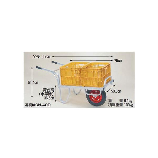A~֎ (lzOK)  100kg  nbNX CN-B40D iu[Ltj  A~ nEXJ[ ^(GA[^C) ([J[Es)