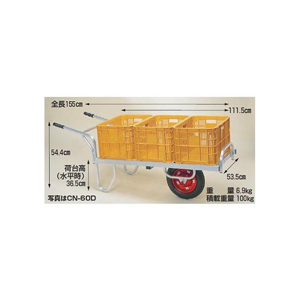 A~nEXJ[(lzs)  100kg  nbNX CN-60DN A~֎ A~ ^ (m[pN^C) R ([J[Es)