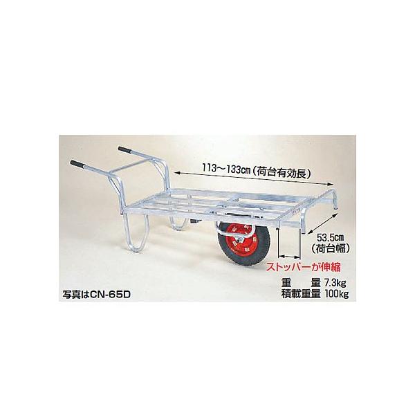 A~(lzOK)  100kg  nbNX CN-B65D iu[Ltj A~֎  nEXJ[ ^(GA[^C) ([J[Es)