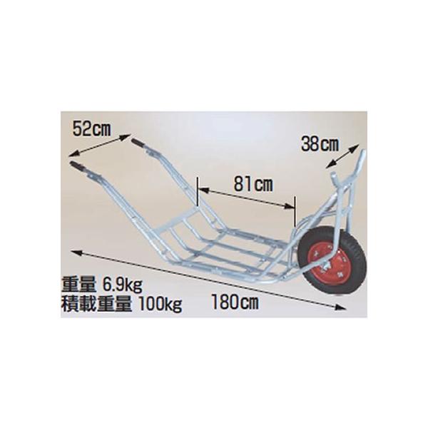 A~֎ (lzOK)  100kg  nbNX CU-1  Aؗp֎ Ɨp֎ (100Lύ)([J[Es) CU1