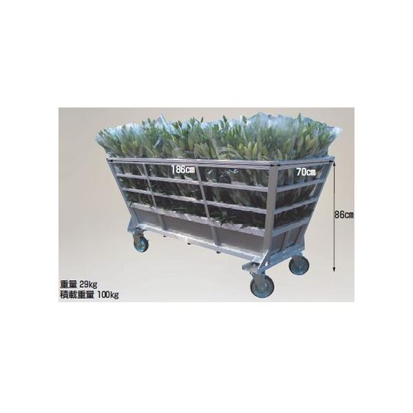 (lzs)  100kg  nbNX A~ YR-1970 XeXt zC[^ t[v[ n ([J[Es)