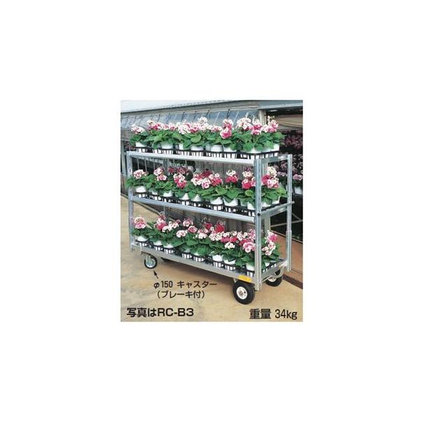 (lzs)  200kg  nbNX RC-B3 A~ړ Ƒ (tR) bNXJ[S (2փGA[^C) ([J[Es)