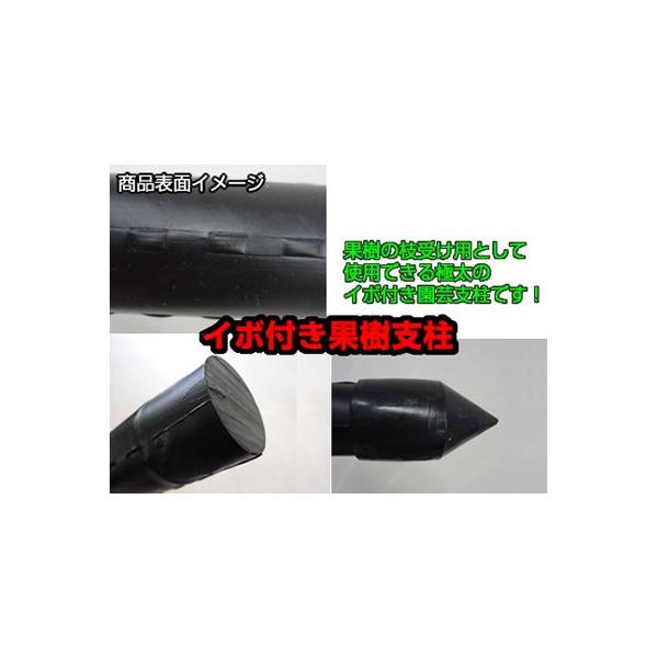 lOK VZC C{t ʎx }x 33mm X 2100mm 10{ i}z_[ExXgbp[ʔj  Ԃǂ  `  nEX݂