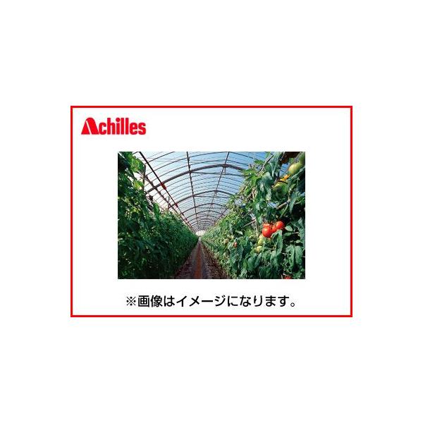 lOK ALX Op _r VimL[j 0.05mm X 270cm X 100m _Ǝ rj[nEX hH  ۉ