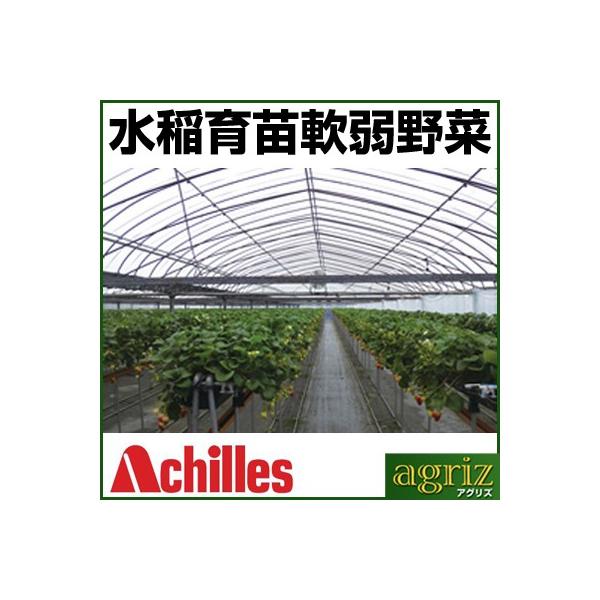 lOK ALX Op _r mL[n 0.1mm X 270cm X 100m _Ǝ U hH rj[tB nEX Qy