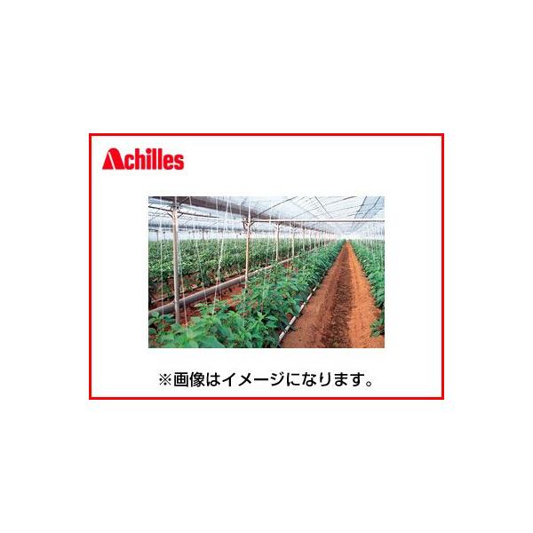 lOK ALX Op _r mL[Ƃܐ 0.1mm X 300cm X 100m _Ǝ OJbg aQ} hH  rj[nEX