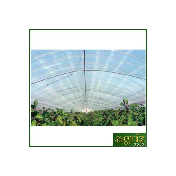 lOK ALX  J[ep _r mL[Xx[H 0.05mm X 230cm X 100m _Ǝ ۉ hH  rj[nEX