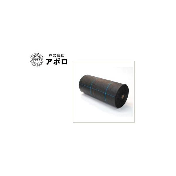 A| dC hV[g d򉺕~V[g i0.5m X 100mj 50cm AP-CT121