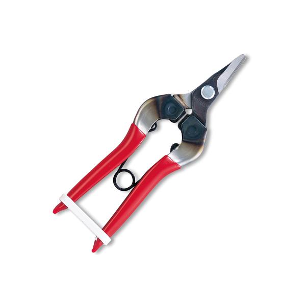 �A���X 310-D-K-BP �c���� �Ȑn�@�E�ʂ͂��� �̉ʂ͂��� �̎��͂��� �Ȑn �` �� �݂��� �ʎ��� �ƒ�؉�