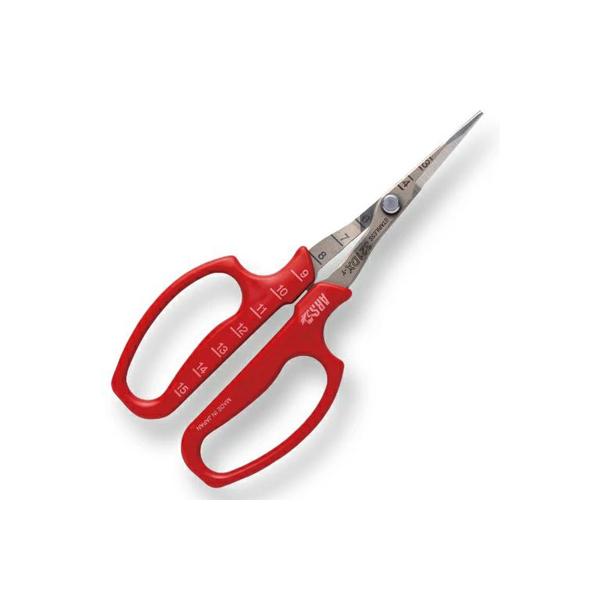 (݌ɂ) Ԃǂ AX ԂǂE͂ 321DX-T  n ܓ ԂǂE [ n ېn אn t ԐF Ԃǂ_ ʎ ό_