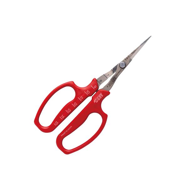 AX 321DX-T-BP ԂǂE n BP@ԂǂE͂  ېn אn t Ԃǂ_ ʎ ό_