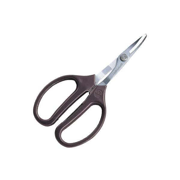 AX 350-M Ntg Ȑn  f zr[  Ntg ͂ H C[ Ȑn n