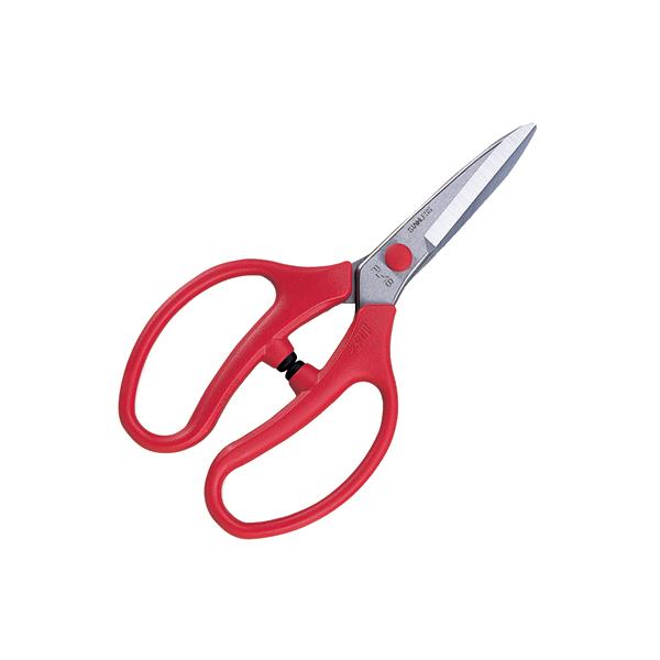 AX FL-18-BP to  | ͂   t[AWg t[Vbv ԉ