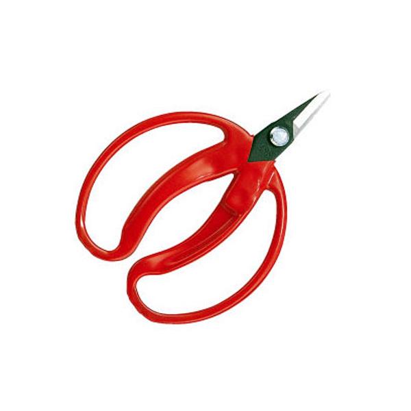 AX 420 ݂̎  ܓ@݂EԂ͂ ݂̉ʂ͂  ʎ ېn _ ʎ ό_ ܂Ƃߔ劽}