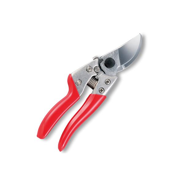 () uCGXZu@͂ ʎ   ݂ Ԃǂ  |  _ ʎ vdl ܂Ƃߔ劽}