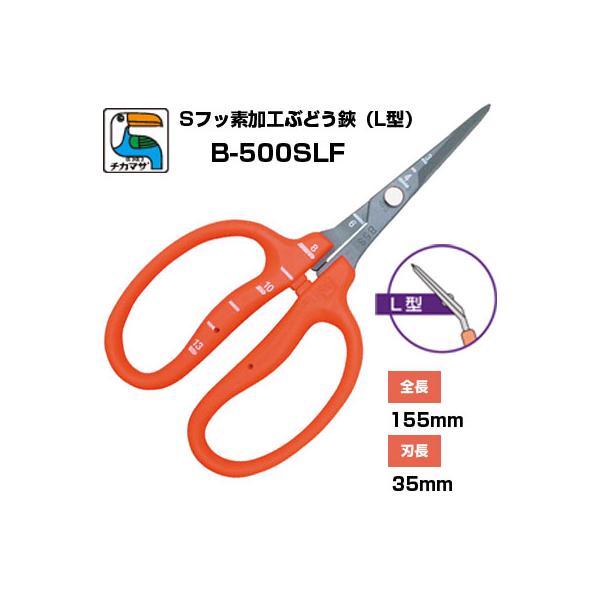 最短当日発送) ぶどう鋏 チカマサ 近正 ぶどう手入れ鋏 ステンレス刃