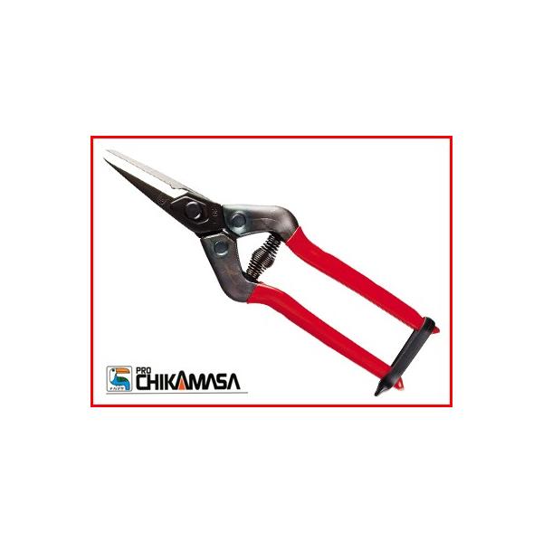 ߐ `J}T _ E-6CiBPj n͂ ʎ _ƑS MUn j ɂ