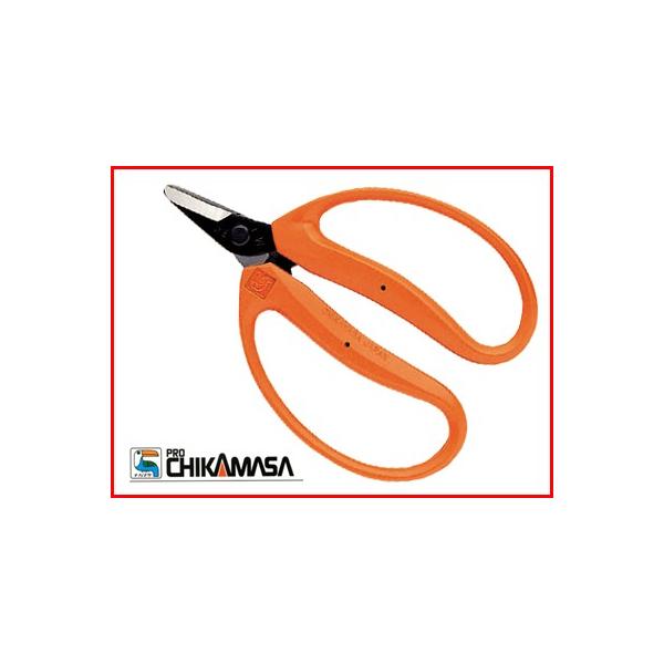 ߐ ݂  `J}T ݂ ͂ M-100(BP) n E E Ec  fR| ` ʎ ېn {