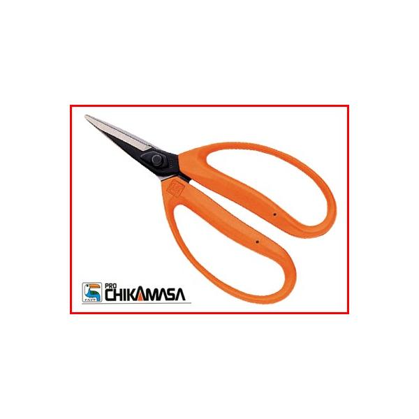 ߐ | `J}T |͂ M-600(BP) ؉ ^E ^Eʂ͂  n ݂  ʎ {