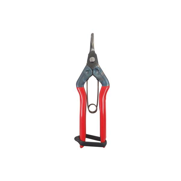 ߐ `J}T c ɋȐn S-230 iuX^[pbNj n͂ ݂ fR| ` ʎ ׊ېn ɋȐn ʎ _ ԐF {