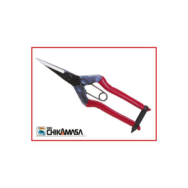 (ŒZ) ߐ  `J}T ͂ T-550(BP) E  E Ec  _ƑS | v { olt אn