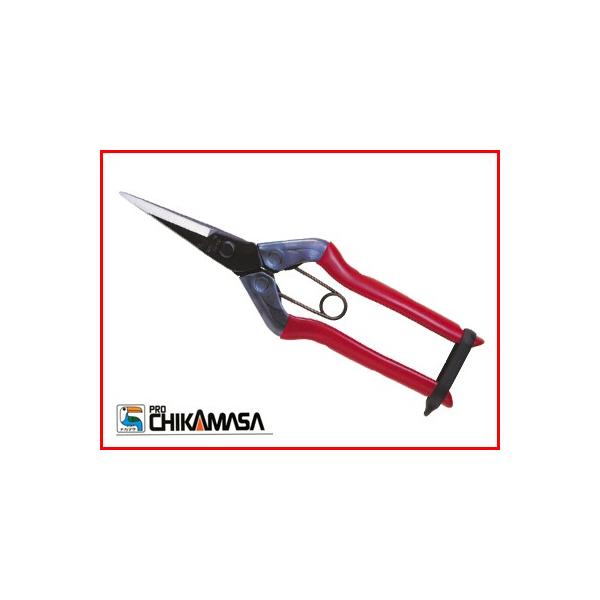 ߐ `J}T  T-551iϔj ؂͂ E Eʂ͂ n͂ ʎ _ ʎ ԐF {