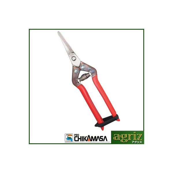 ߐ `J}T I[XeX n Ȑn T-55SR n͂ t ɂɂ  I[XeX Kтɂ {