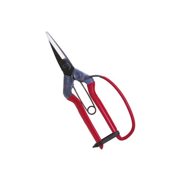 ߐ `J}T ؉ 뒼nK[ht T-600G iܓj E E n   ʎ _ƑS _ ό_ ԐF v {