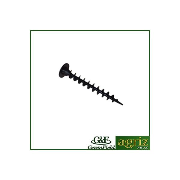 hV[g Uo[ hV[g s  KRs 250mm 50{ hpb`iO[jt f| ˂ V[g Œs s