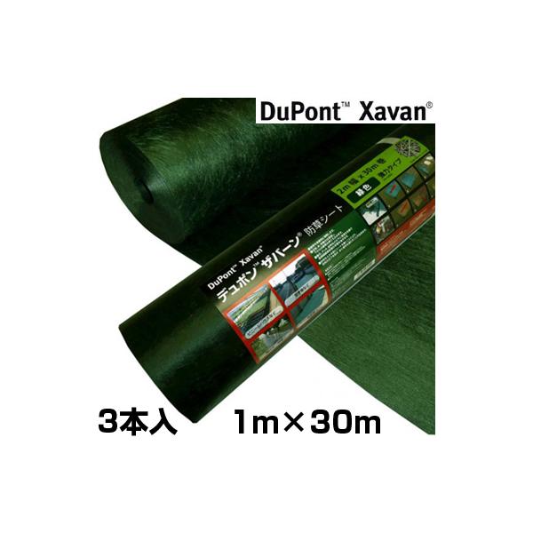 hV[g Uo[ hV[g 240 hV[g 1m  f| Uo[ 240G O[ 1 X 30m 3{ y  zd 