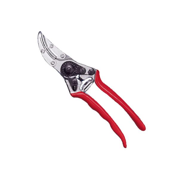 tFR tFRPOOtFR ͂ ԙ ؂Ă߂ o AU~ qCM | Ռጸ ԐF XCX _  