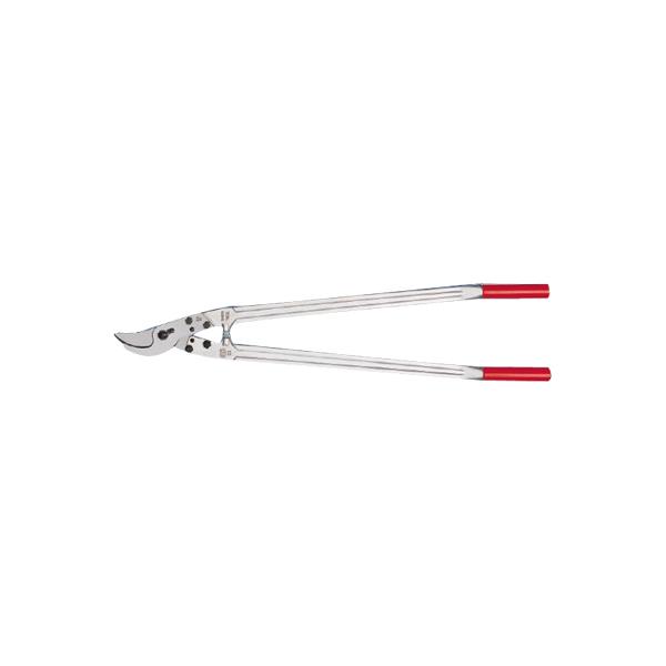 tFR} bp[ tFRQQ tFR }͂ bp[ ʎ  Ԃǂ  ݂ `  XCX _ | 