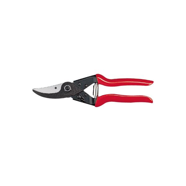 tFR tFRT tFR ͂ ʎ  Ԃǂ  ݂  `  ԐF XCX _  |  vK[fi[