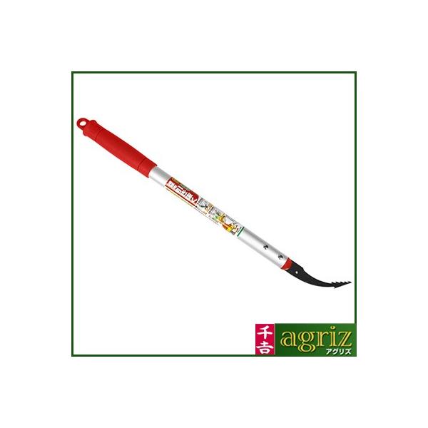 g A~pCv SGJ-2AP
