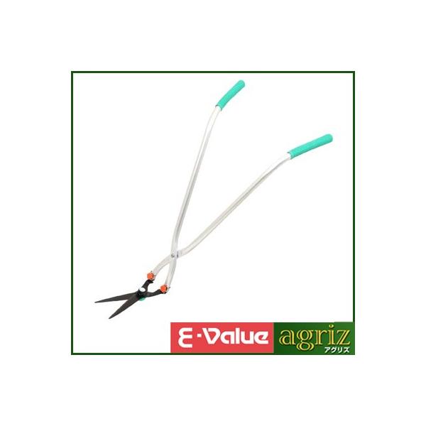 E-Value 18 nT~ EG-520