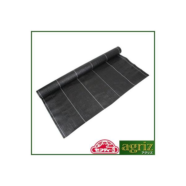 hV[g 1m ZteB-3 xhV[g  1m X 10m _Ǝ |pi ƒ؉ K[fjO ZteB[3 ZteB3 Y