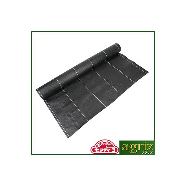 hV[g 1m ZteB-3 xhV[g  1m X 20m _Ǝ |pi ƒ؉ K[fjO ZteB[3 ZteB3 Y