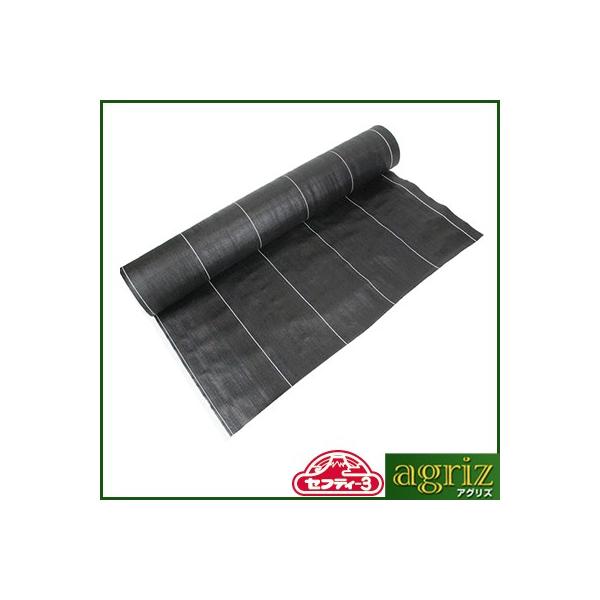 hV[g 1m ZteB-3 xhV[g  1m X 50m _Ǝ |pi ƒ؉ K[fjO ZteB[3 ZteB3 Y