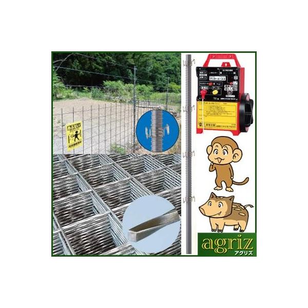 O[h Tp drdC pS_ 300m tFX1m Zbg i{́Fdq Qb^[G[X3j